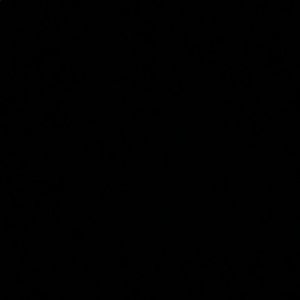 Meet your Posher, Trevor